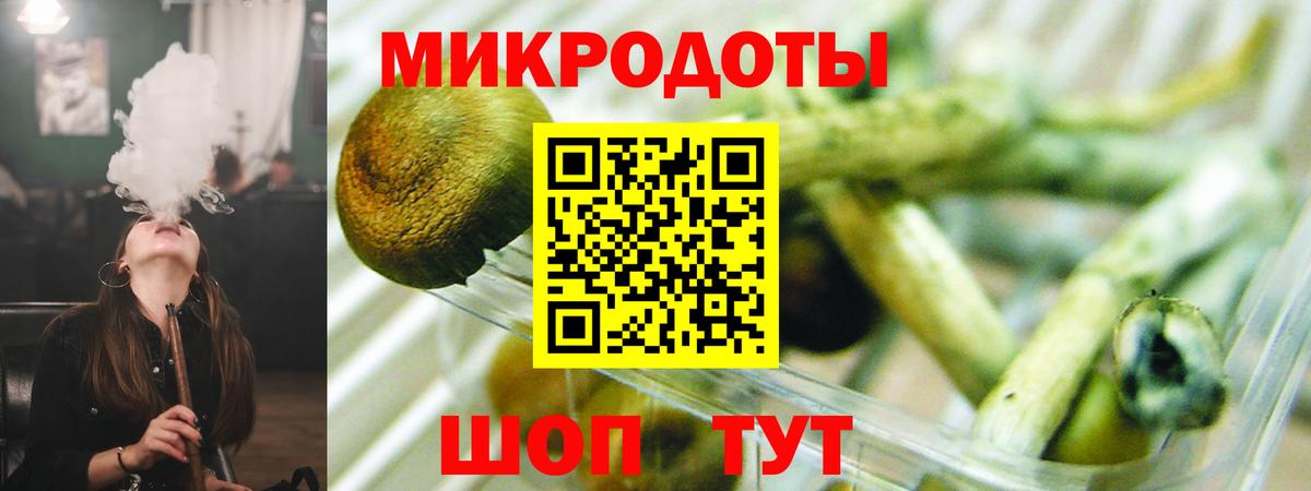 Галлюциногенные грибы Psilocybine cubensis Тольятти