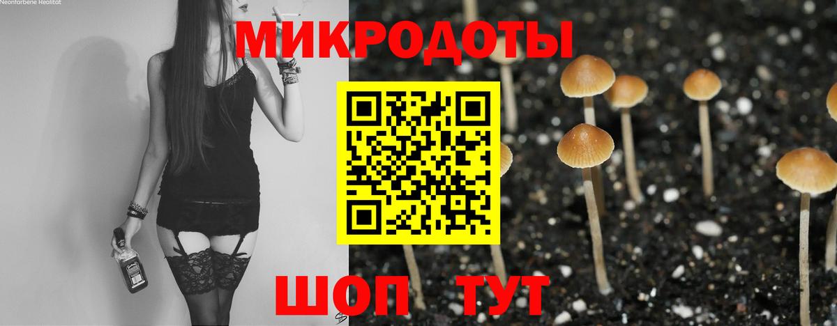Тольятти  Псилоцибиновые грибы Psilocybe  Псилоцибиновые грибы Cubensis  Вход с VPN 